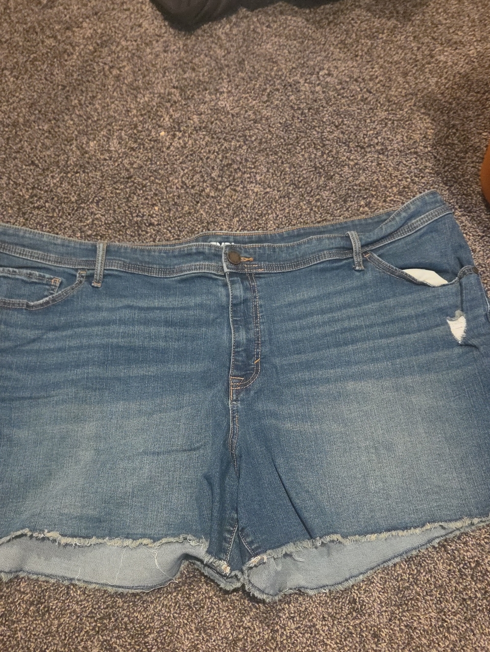 Blue Women's Denim Shorts